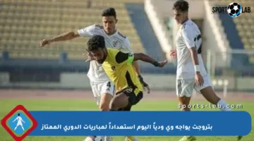 بتروجت يواجه وى ودياً اليوم استعداداً لمباريات الدوري الممتاز